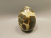 Septarian Nodule Egg Shaped 2.4 inch Polished Rock Utah Stone #O1
