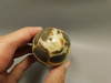 Septarian Nodule Egg Shaped 2.4 inch Polished Rock Utah Stone #O1