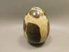 Septarian Nodule Egg Shaped 2.4 inch Polished Rock Utah Stone #O1