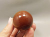 Carnelian Agate Egg Shaped Stone 2 inch Orange Gemstone #O13