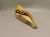 Lizard Iguana Kalahari Jasper Stone Animal Carving #O191