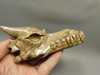 Dragon Head Kalahari Jasper Hand-Carved Stone Carving #O134