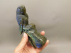 Parrot Bird Figurine Labradorite Hand Carved 5 inch Gemstone #O267