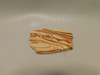 Wave Dolomite Polished Rock Slab Stromatolite #O10