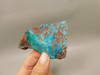Gem Silica Chrysocolla Cuprite Unpolished Stone Slab Rough Rock #O110