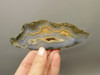 Owls Hole Agate Polished Stone Sagenite RARE Rock California #O2