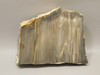 Petrified Wood Thick Stone Slab Unpolished Rough Rock #O31