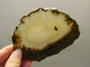 Owls Hole Agate Unpolished Rough Stone Slab Sagenite Death Valley #O2