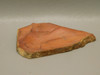 Bruneau Jasper Unpolished Stone Slab Lapidary Rock Oregon #O17