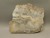 Crazy Lace Agate Stone Slab Unpolished Rock Mexico #O24