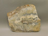 Crazy Lace Agate Stone Slab Unpolished Rock Mexico #O24