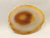 Brazilian Piranha Agate Stone Slab Lapidary Rough Rock #O20