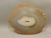 Brazilian Piranha Agate Stone Slab Lapidary Rough Rock #O8