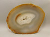 Brazilian Piranha Agate Stone Slab Lapidary Rough Rock #O8