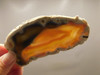 Brazilian Piranha Agate Stone Slab Lapidary Rough Rock #O8
