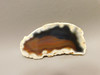 Brazilian Piranha Agate Stone Slab Lapidary Rough Rock #O8