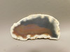 Brazilian Piranha Agate Stone Slab Lapidary Rough Rock #O8