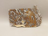 Mushroom Jasper Unpolished Rock Stone Slab Arizona #O3