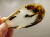 Montana Agate Stone Slab Lapidary Rough Rock #O3