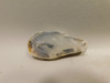 Montana Agate Stone Slab Lapidary Rough Rock #O3