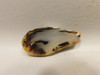 Montana Agate Stone Slab Lapidary Rough Rock #O3