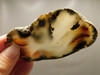 Montana Agate Stone Slab Lapidary Rough Rock #O4