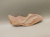 Wonderstone Rhyolite Rough Rock Stone Slab Nevada #O5