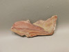 Wonderstone Rhyolite Rough Rock Stone Slab Nevada #O7