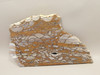 Mushroom Jasper Unpolished Rock Stone Slab Arizona #O5