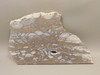 Mushroom Jasper Unpolished Rock Stone Slab Arizona #O5