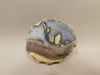 Dugway Thunderegg Polished Rock Geode Blue Agate #O22