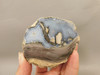 Dugway Thunderegg Polished Rock Geode Blue Agate #O22