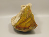 Petrified Wood Polished Fossilized Henry Mountain Utah #O188-1