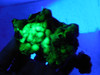 Youngite Rough Rock Fluorescent  Mineral Specimen Wyoming #O2