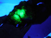 Youngite Rough Rock Fluorescent  Mineral Specimen Wyoming #O3