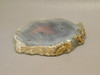 Swazi Agate Stone Slab Unpolished Rough Rock #O1