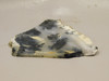 Plume Agate Stone Slab Unpolished Rock Nevada #O1