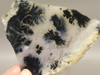 Plume Agate Stone Slab Unpolished Rock Nevada #O1