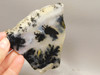 Plume Agate Stone Slab Unpolished Rock Nevada #O1