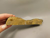 Tiger-eye Rough Rock Yellow Tiger's Eye Lapidary Cabbing #O22