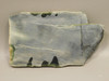 California Green Nephrite Jade Unpolished Stone Slab Rough Rock #O24