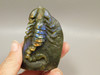 Scorpion Figurine Gemstone Animal Carving Labradorite  #O2