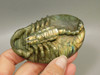 Scorpion Figurine Gemstone Carving Labradorite  #O212