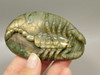 Scorpion Figurine Gemstone Carving Labradorite  #O212