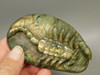 Scorpion Figurine Gemstone Carving Labradorite  #O212
