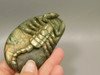 Scorpion Figurine Gemstone Carving Labradorite  #O212