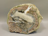 Mushroom Jasper Polished Rock Thunderegg Rhyolite Arizona #O1