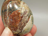 Cherry Creek Jasper Egg 2 inch Rock Mineral Red Creek Stone #O9