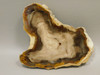 Petrified Wood Polished Round Yakima Canyon, WA #O134-23