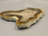Petrified Wood Polished Round Yakima Canyon, WA #O134-23